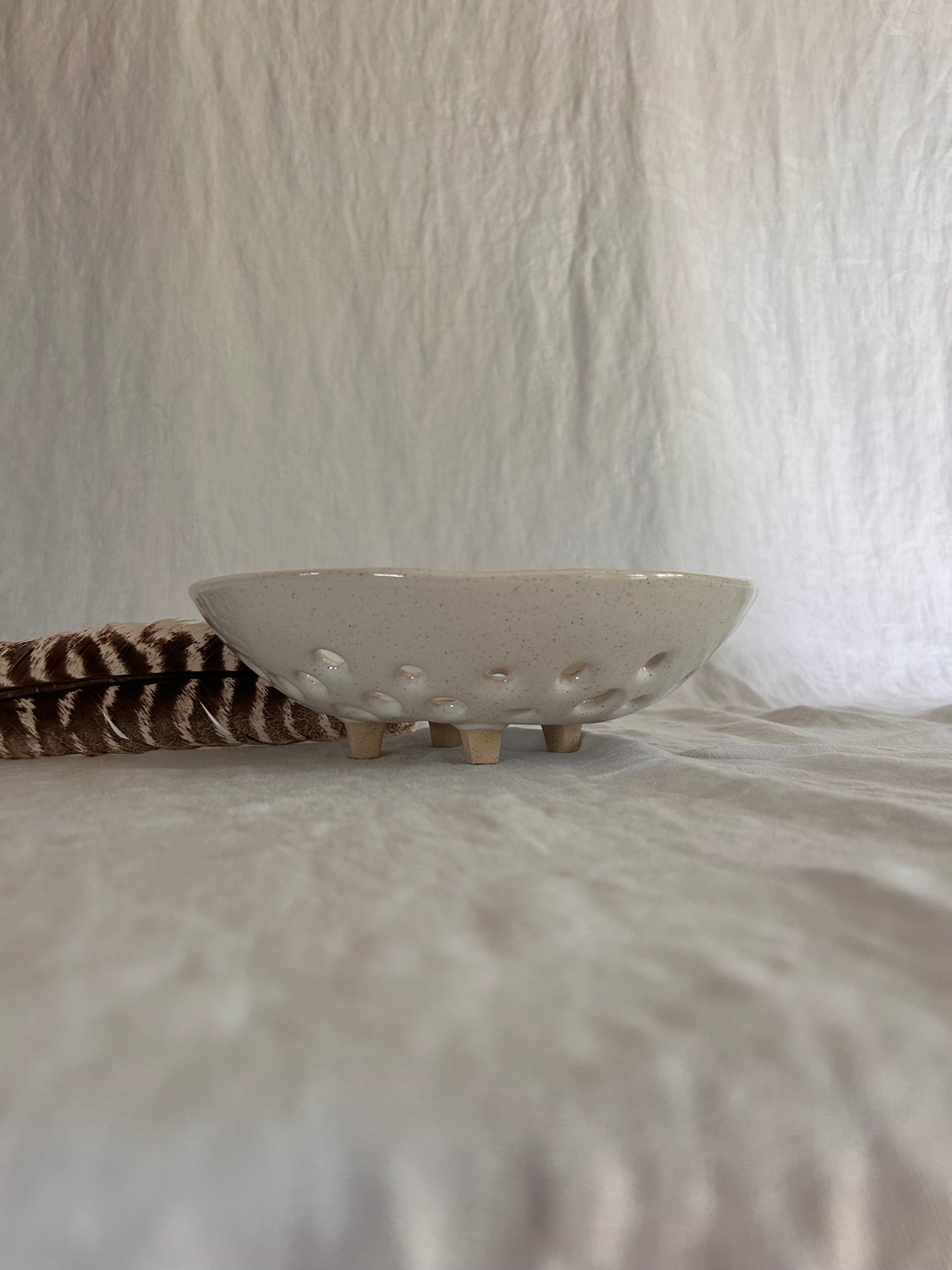 Newland Colander