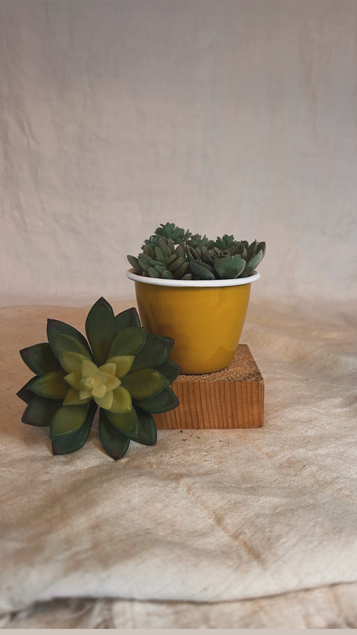 XSmall Mustard Metal Enamel Planter